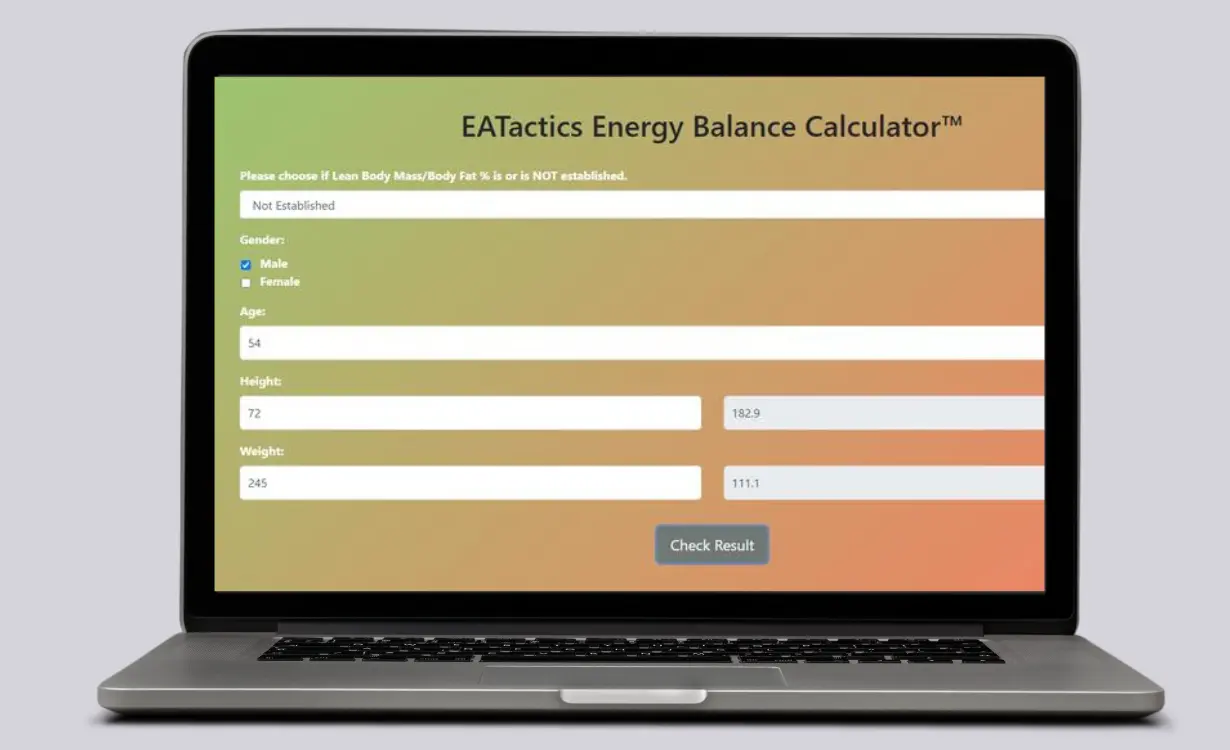 Energy Balance Calculator - Custom Tools Project - Codocraft Portfolio 1 | Built by Codocraft Solutions
