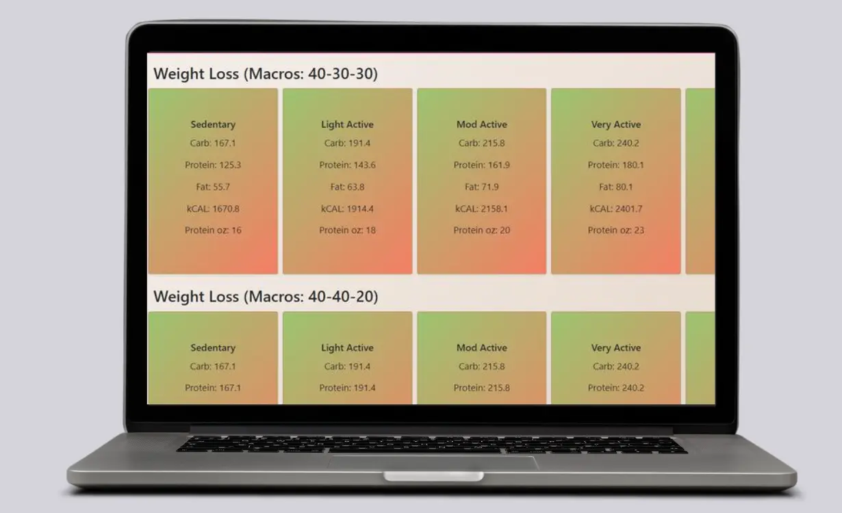 Energy Balance Calculator - Custom Tools Project - Codocraft Portfolio 4 | Built by Codocraft Solutions